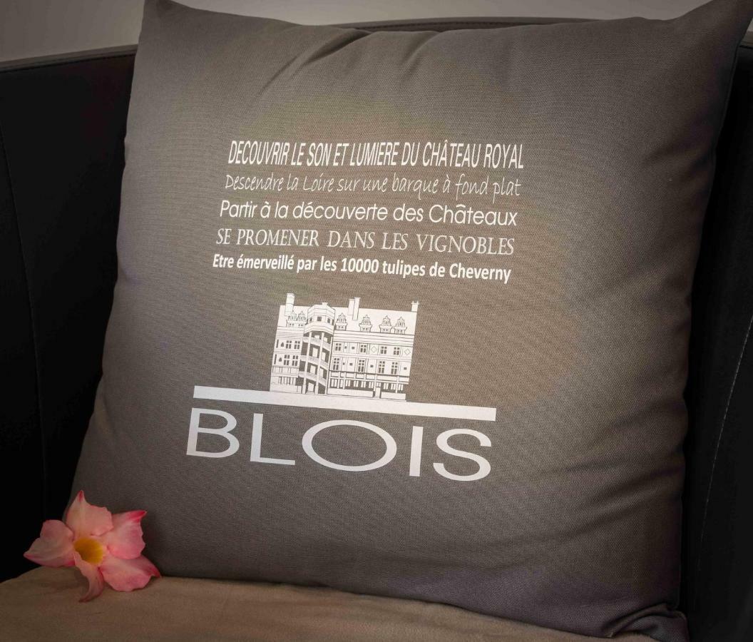 Le Relais Du Petit Lion Apartamento Blois Exterior foto