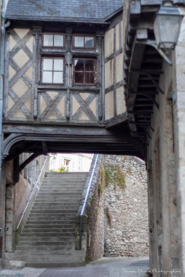 Le Relais Du Petit Lion Apartamento Blois Exterior foto